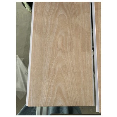 PVC mennyezeti panel Techo PVC