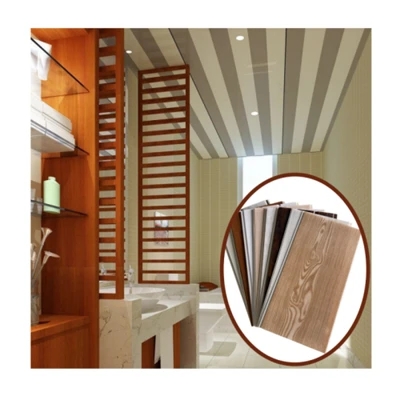 PVC mennyezeti panel Techo PVC